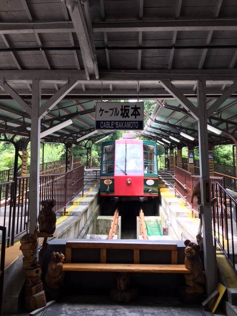 京都へ行ってきました！