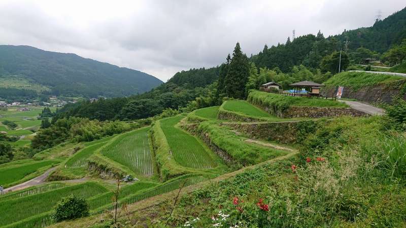 坂折棚田